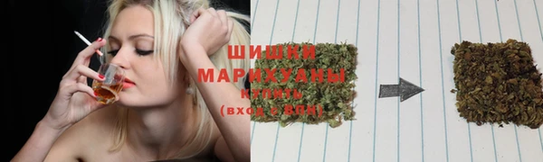 ECSTASY Белокуриха