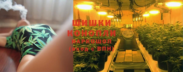 эйфоретик Беломорск
