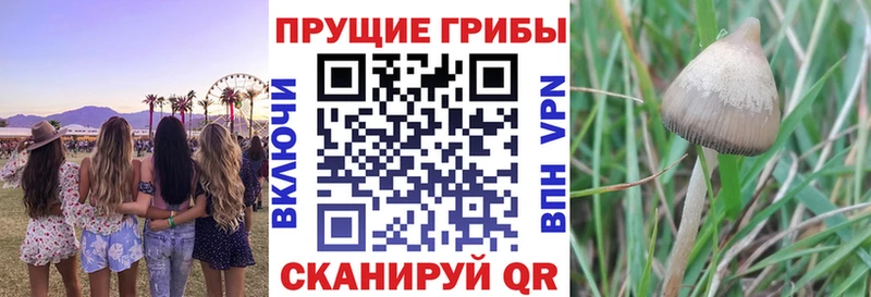 мега ONION  Ува  Галлюциногенные грибы Psilocybine cubensis  купить  
